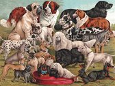 New York Puzzle Company - Vintage Images Dog Breeds - 1000 stukjes puzzel