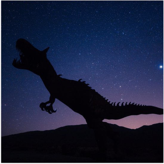 WallClassics - Poster (Mat) - Silhouette van een Dinosaurus in de Nacht - 100x100 cm Foto op Posterpapier met een Matte look