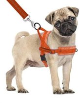 Extra opvallend Hondentuigje Oranje Maat XXS - No pulltuigje hond - Reflecterend - Super zacht fleece - Verstelbaat - Voor kleine hondjes