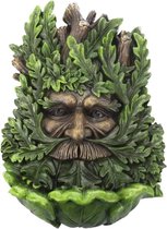 Nemesis Now Tuin beeld/figuur Wise Oak Vogelvoeder Groen