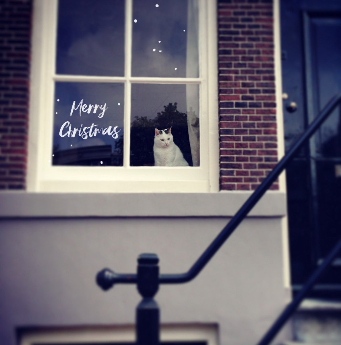 Kerst Raam Sticker Sneeuw