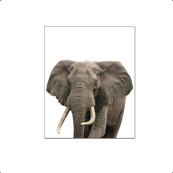 PosterDump - Safari dieren olifant - Baby / kinderkamer poster - Dieren poster - 40x30cm