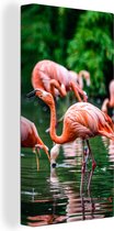 Canvas - Schilderij - Vogel - Water - Flamingo - Tropical - Dieren - Schilderijen op canvas - 40x80 cm - Canvas vogels - Muurdecoratie