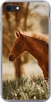 Telefoonhoesje Geschikt voor iPhone SE 2022 hoesje - Paard - Licht - Weide - Siliconen Telefoonhoesje