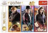 Trefl - Puzzles - "200" - In the world of magic and witchcraft / Warner Harry Potter