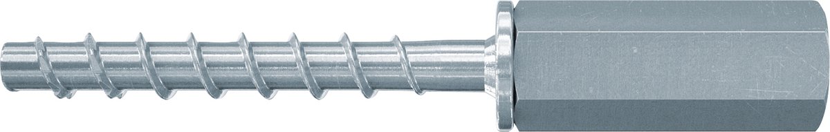 Fischer 554066 schroef/bout 55 mm 100 stuk(s) M6