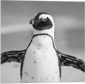 WallClassics - Vlag - Vrolijke Pinguïn Zwart / Wit - 50x50 cm Foto op Polyester Vlag