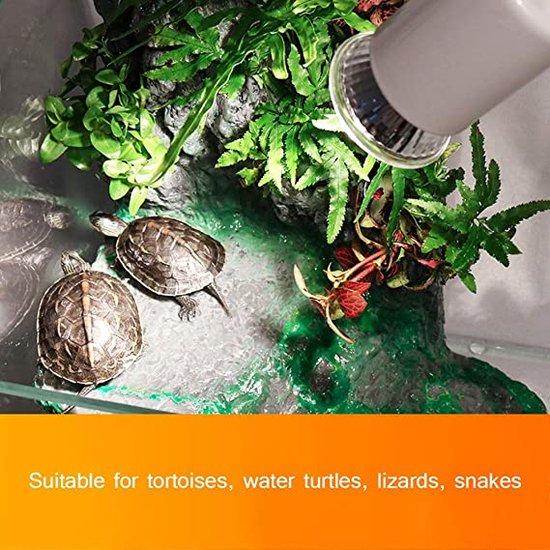 Reptielen warmtelamp met bewaker, huisdier verwarming lamp kap Reptielen warmtelamp met bewaker, huisdier verwarming lamp kap