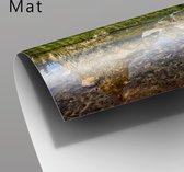 WallClassics - Poster (Mat) - Dunne Bomen voor de Zon - 60x40 cm Foto op Posterpapier met een Matte look