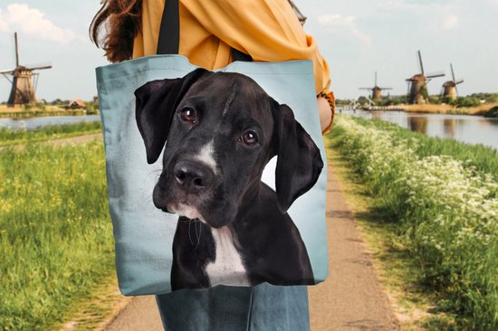 Sac bandoulière - Sac de plage - Shopper Sweet chien noir et blanc - 40x40 cm - Sac coton