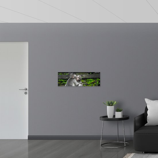 Dibond - Knuffelende Aapjes op een Bankje - 90x30 cm Foto op Aluminium (Met Ophangsysteem)