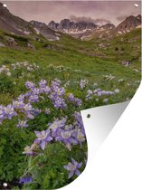 Tuinschilderij Berglandschap met akeleien - 60x80 cm - Tuinposter - Tuindoek - Buitenposter