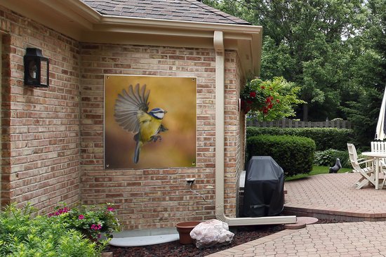 Affiche de jardin Mésange en volant 100x100 cm - Toile de jardin / Toile d'extérieur / Peintures d'extérieur (décoration de jardin)