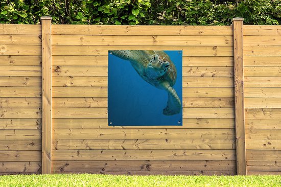 Toile de jardin Impression photo contact visuel avec tortue - 100x100 cm