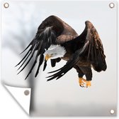 Tuindoek Witkop zeearend - Adelaar - Roofvogel - Vleugels - Vliegend - 100x100 cm