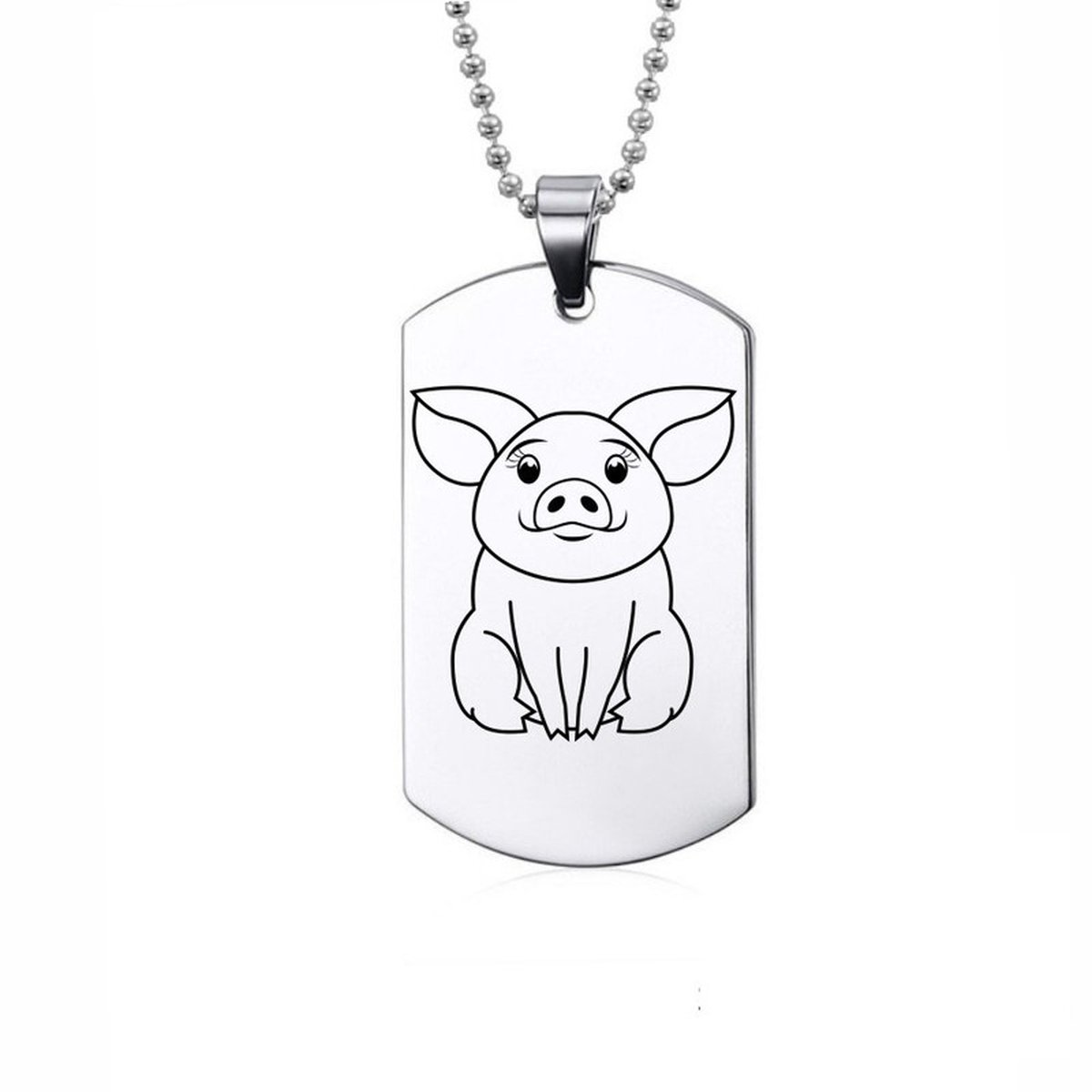 Ketting RVS - Biggetje