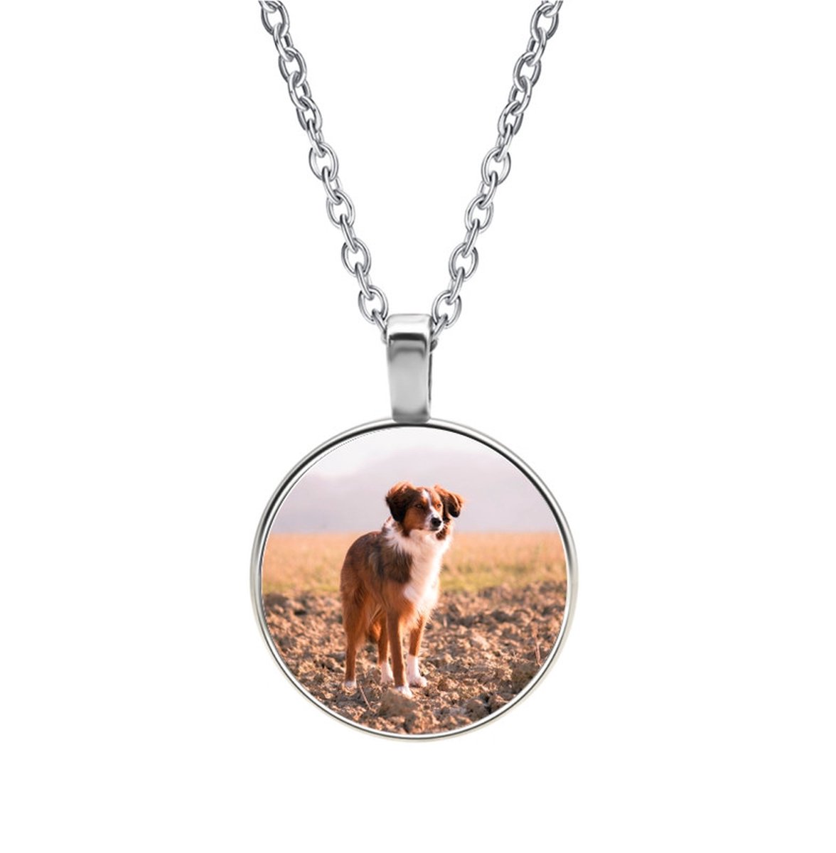 Ketting Glas - Hond