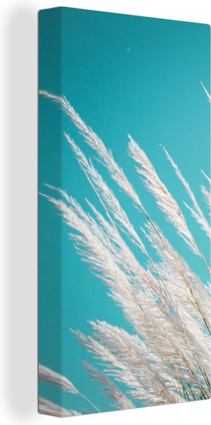 Peinture sur toile Herbe de la Pampa - Plante - Plante - 20x40 cm - Décoration murale