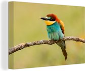 Canvas schilderij 140x90 cm - Wanddecoratie Vogel - Bijeneter - Dieren - Muurdecoratie woonkamer - Slaapkamer decoratie - Kamer accessoires - Schilderijen