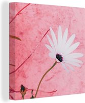 Canvas Schilderij Bloemen - Roze - Vintage - 20x20 cm - Wanddecoratie