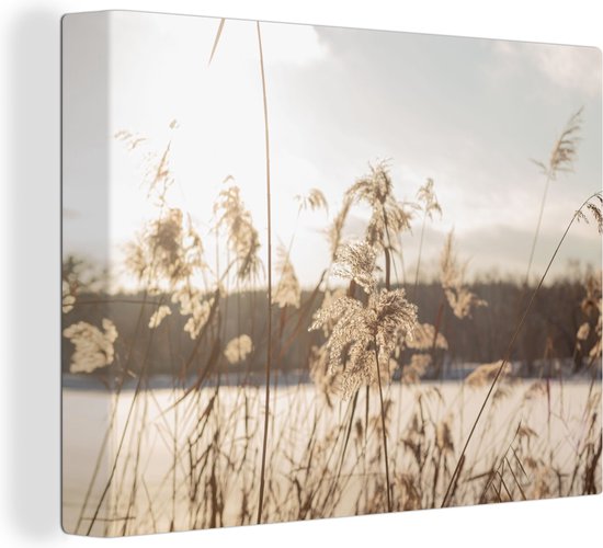 Tableau sur toile Water - Herbe de la Pampa - Plantes - 40x30 cm - Décoration murale