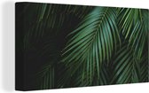 Tableau sur toile Feuilles de palmier - Palmiers - Tropical - 40x20 cm - Décoration murale