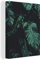 Canvas Schilderij Jungle - Palmboom - Bladeren - Tropisch - 60x80 cm - Wanddecoratie