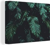 Canvas Schilderij Jungle - Palmboom - Bladeren - Tropisch - 40x30 cm - Wanddecoratie