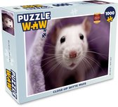 Puzzel Close-up witte muis - Legpuzzel - Puzzel 1000 stukjes volwassenen
