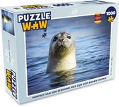 Puzzel Zeehond - Portret - Water - Legpuzzel - Puzzel 1000 stukjes volwassenen
