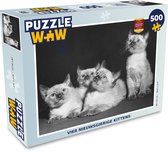 Puzzle Quatre chatons curieux - Puzzle - Puzzle 500 pièces