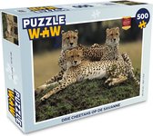 Puzzel Drie cheetahs op de savanne - Legpuzzel - Puzzel 500 stukjes