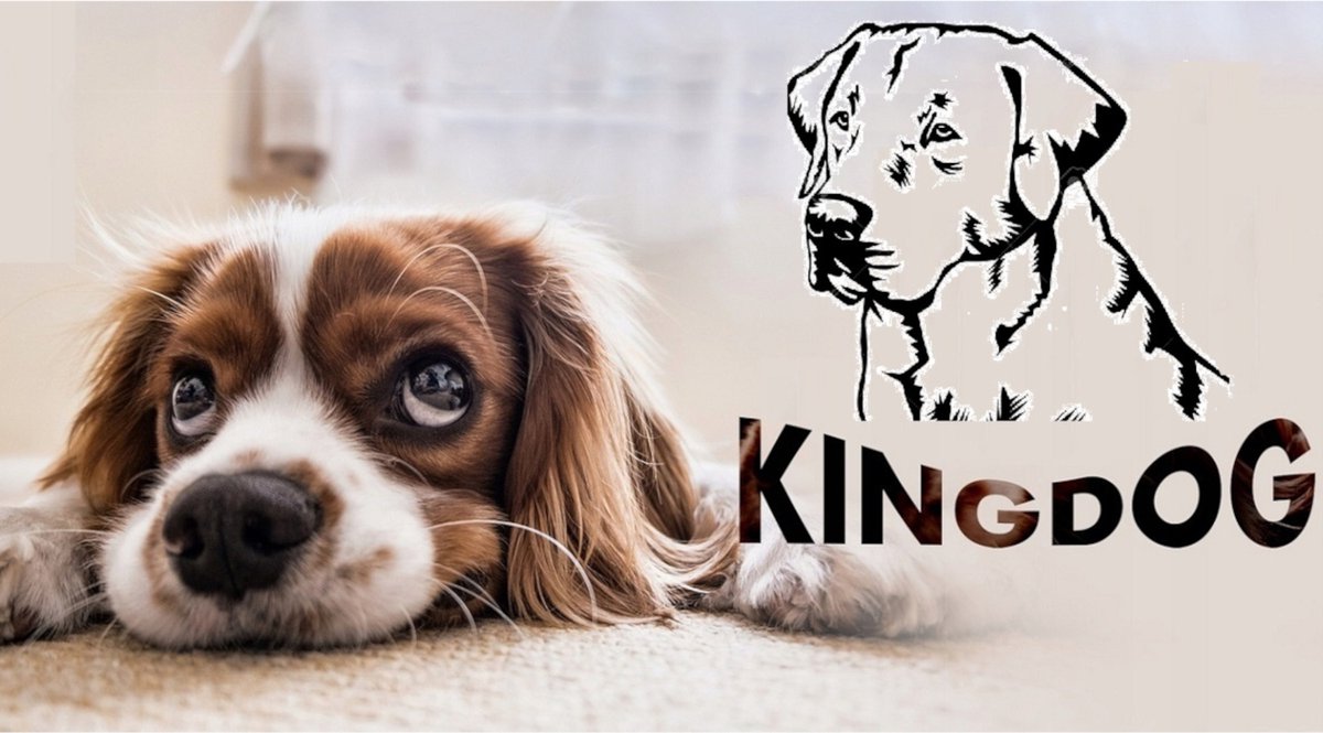 Kingdog - Groot honden- en kattenbed | Dierenmand 100 x 75 | Blauw - maat L thumbnail 6