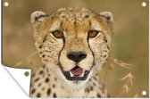 Muurdecoratie luipaard - Kop - Planten - 180x120 cm - Tuinposter - Tuindoek - Buitenposter