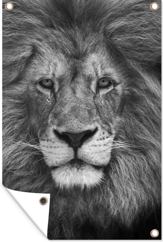 Muurdecoratie Dierenprofiel Perzische leeuw in zwart-wit - 120x180 cm - Tuinposter