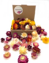 Fleurs de paille séchées de différentes couleurs (40 grammes)