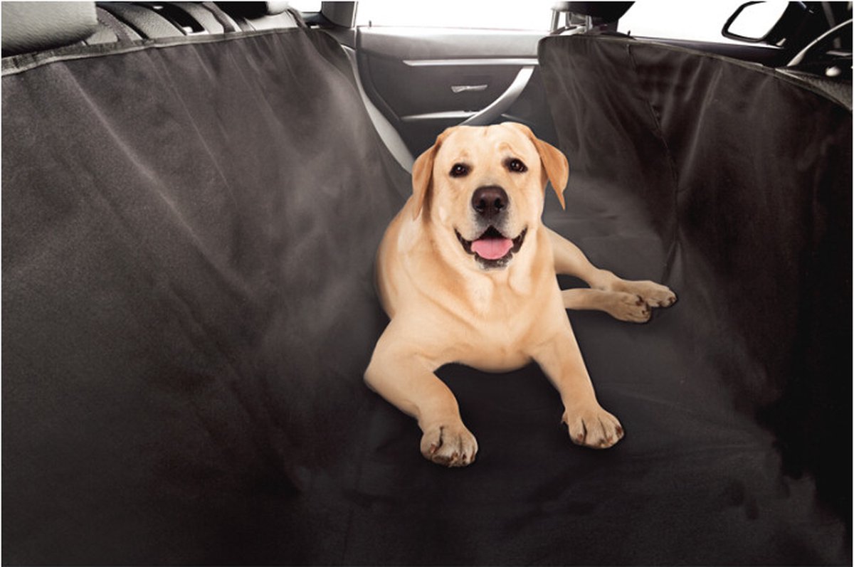 Couverture pour chien de voiture – siège arrière – coffre – imperméable –  couverture