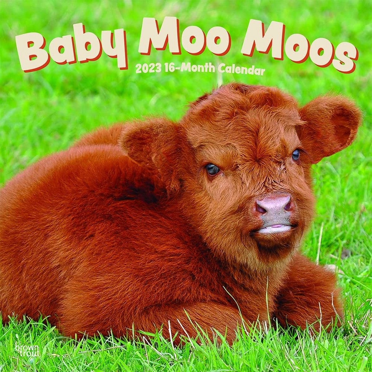 Baby Moo Moos Kalender 2023