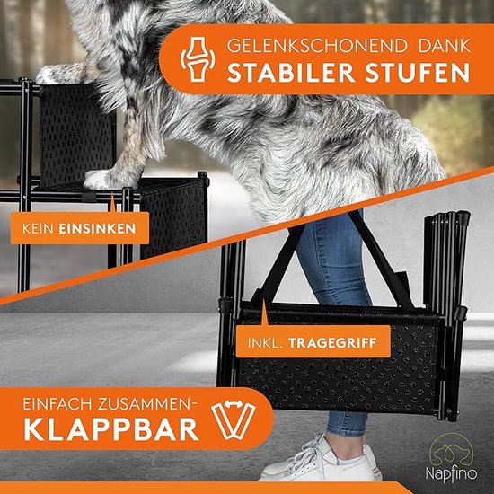 Escalier pour chien pour canapé, lit, échelle lavable et portable pour chiots et Chats