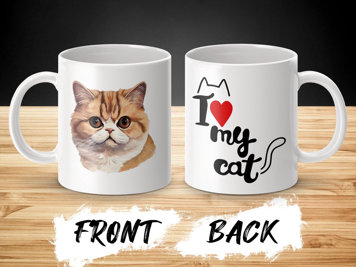 Mok Exotic Shorthair cat - kat - I love my cat - cat lovers - katten