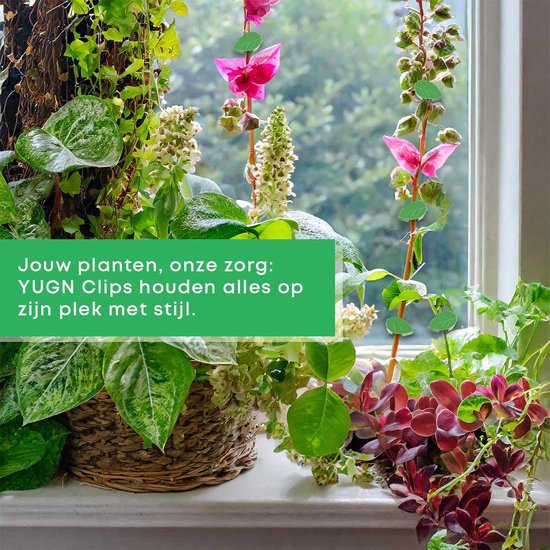 Clips verts pour plantes maintenant les plantes avec style, à côté de plantes sur un rebord de fenêtre. Texte: Vos plantes, notre soin: Les clips YUGN gardent tout en place avec style.