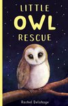 Little Animal Rescue 5 Little Owl Rescue