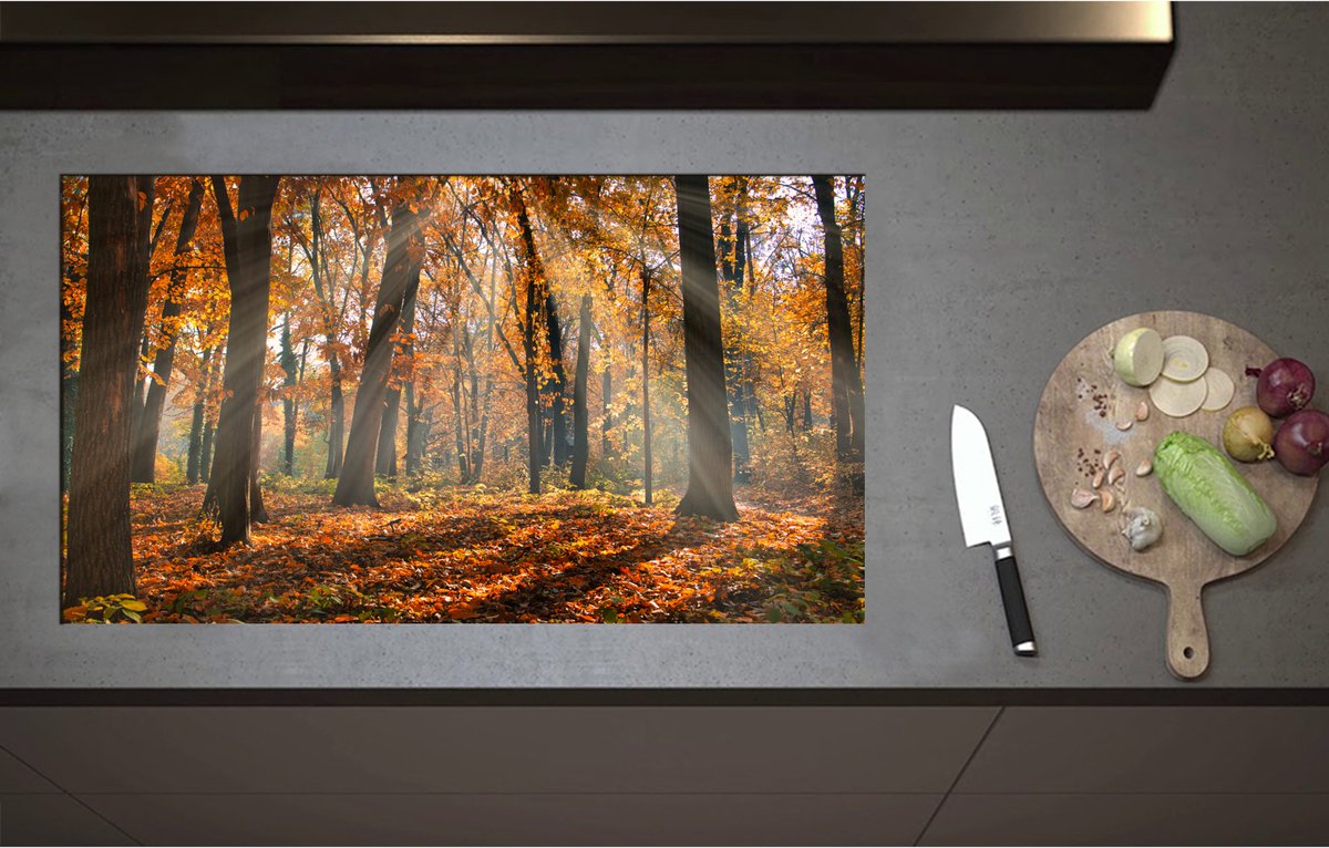 Inductieplaat Beschermer - Bos in de Herfst met Zonnestralen door de Bomen - 90x51 cm - 2 mm Dik - Inductie Beschermer - Bescherming Inductiekookplaat - Kookplaat Beschermer van Wit Vinyl