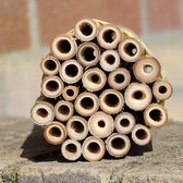 Bamboe Stengels - 15 cm - 28 stuks