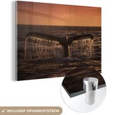 MuchoWow® Glasschilderij 120x80 cm - Schilderij acrylglas - Walvisstaart bij zonsondergang - Foto op glas - Schilderijen