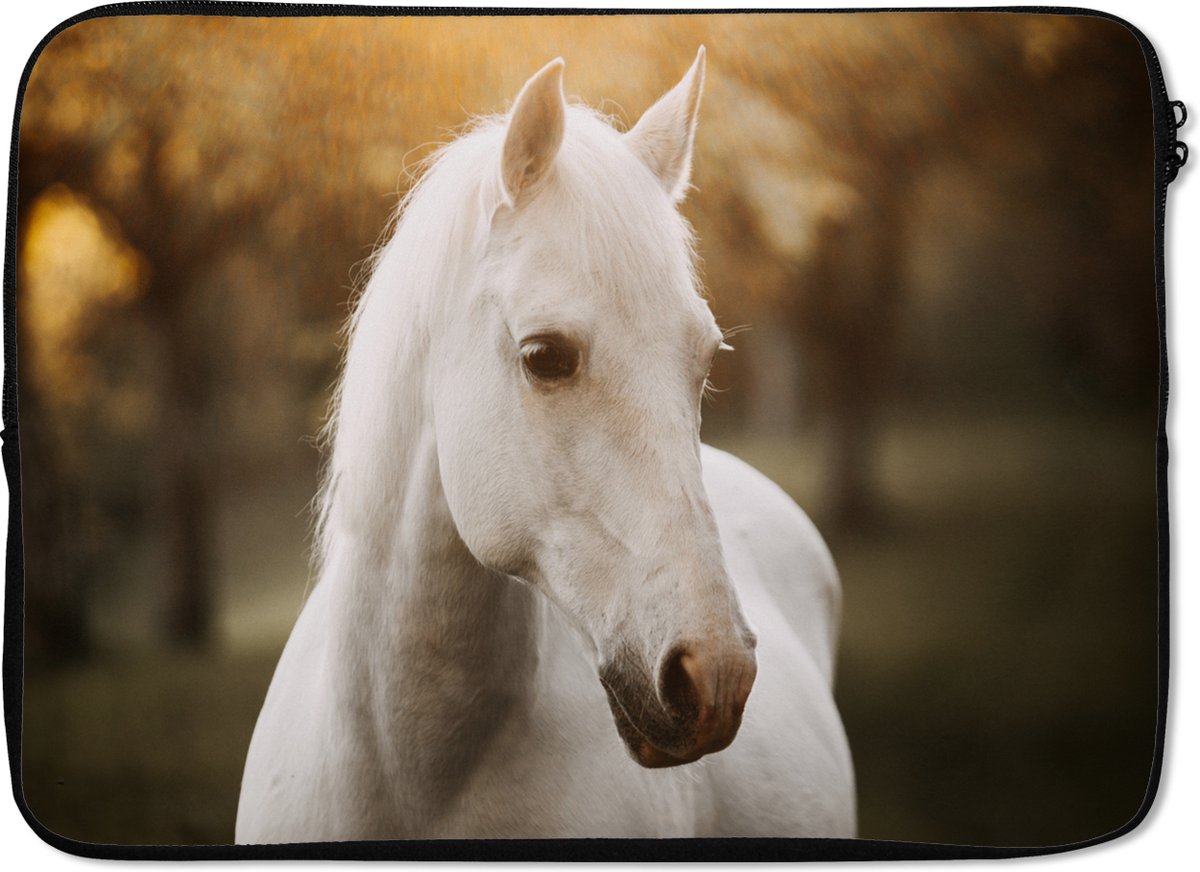 Laptophoes 13 inch - Paard - Zon - Herfst - Dieren - Natuur - Laptop sleeve - Binnenmaat 32x22,5 cm - Zwarte achterkant