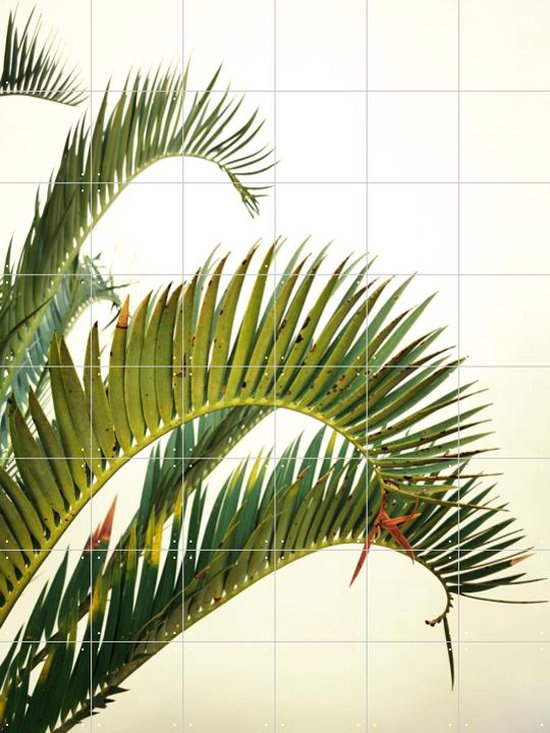IXXI Naples Green - Wanddecoratie - Fotografie - 120 x 160 cm
