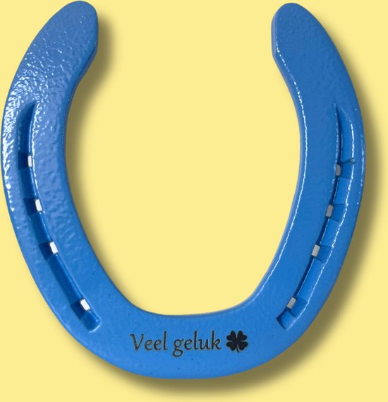 Hoefijzer geluksbrenger set, 16 stuks: klein geluk examen, eindexamen, rijexamen, nieuw jaar, gelukssymbool decoratie, gelukspoppetje cadeau, mini geluk hanger, 4 cm