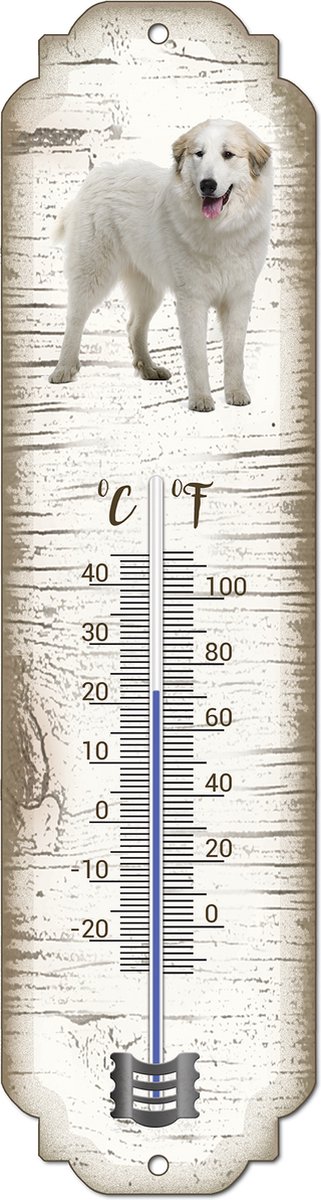 Thermometer: Pyrineese Berghond | Hondenras | Temperatuur binnen en buiten | -25 tot +45C