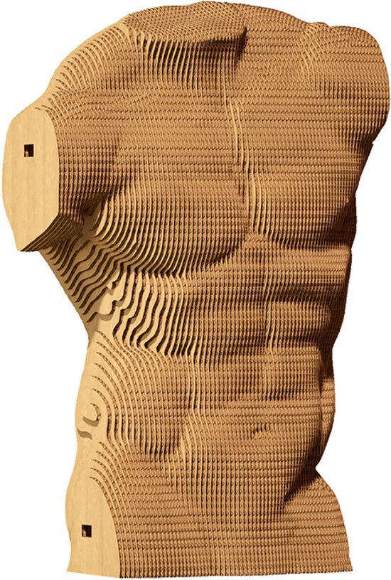 Cartonic - Puzzle Sculpture 3D Torse Masculin